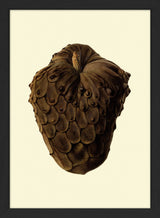 Cherimoya Closed Close Up. Mini Print