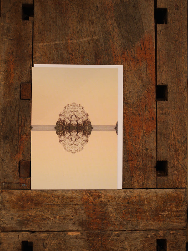 Spejling / Reflection Greeting Card #101