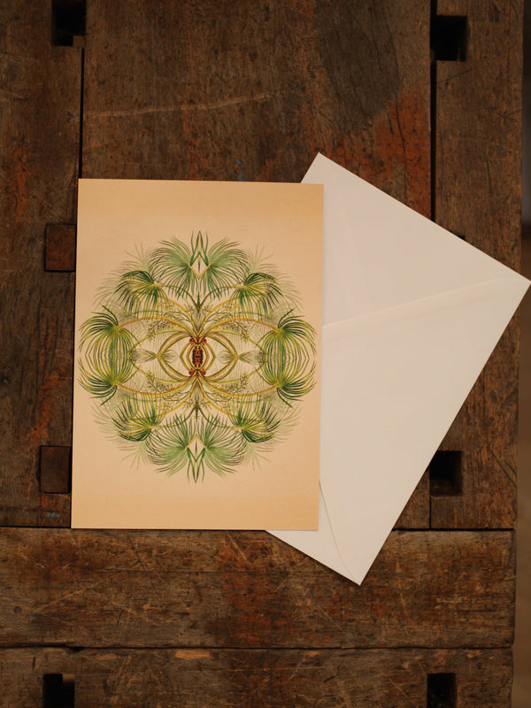 Botanical Reflection Greeting Card #8807