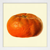 Mandarine mini closed