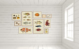 Dotted Orange Fish Head
